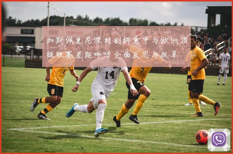 加斯佩里尼深刻剖析意甲与欧洲顶级联赛差距呼吁全面反思与改革