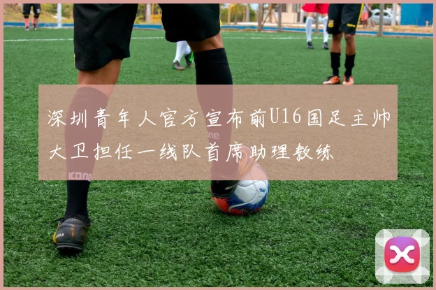 深圳青年人官方宣布前U16国足主帅大卫担任一线队首席助理教练